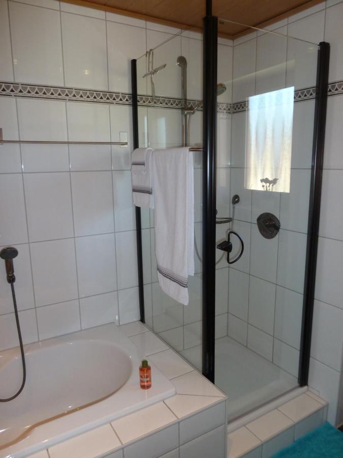 Momlingen Ferienwohnung Odenwaldblick מראה חיצוני תמונה